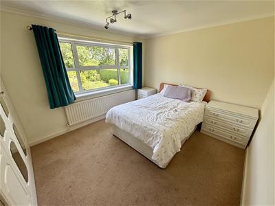 Picture 11